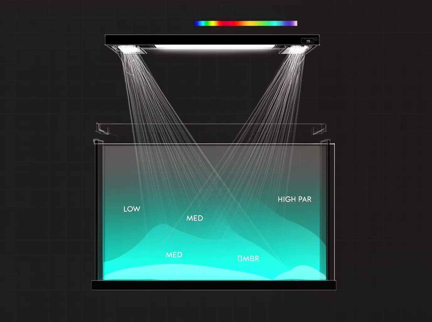 PAR for Planted Tanks: How to Measure and Match