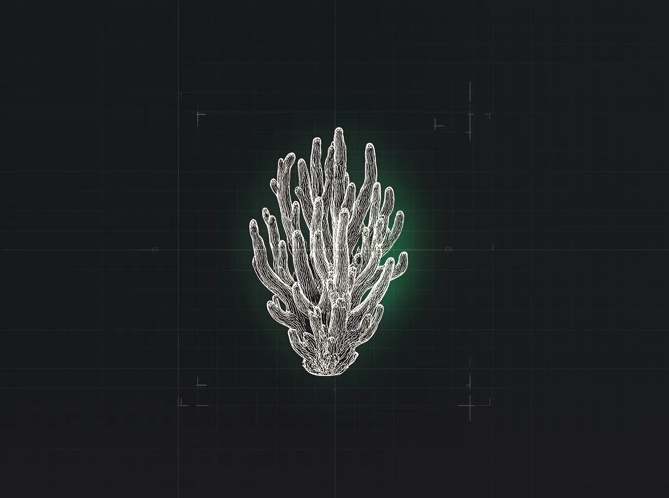 Why Does My Coral Die After Adding It? The