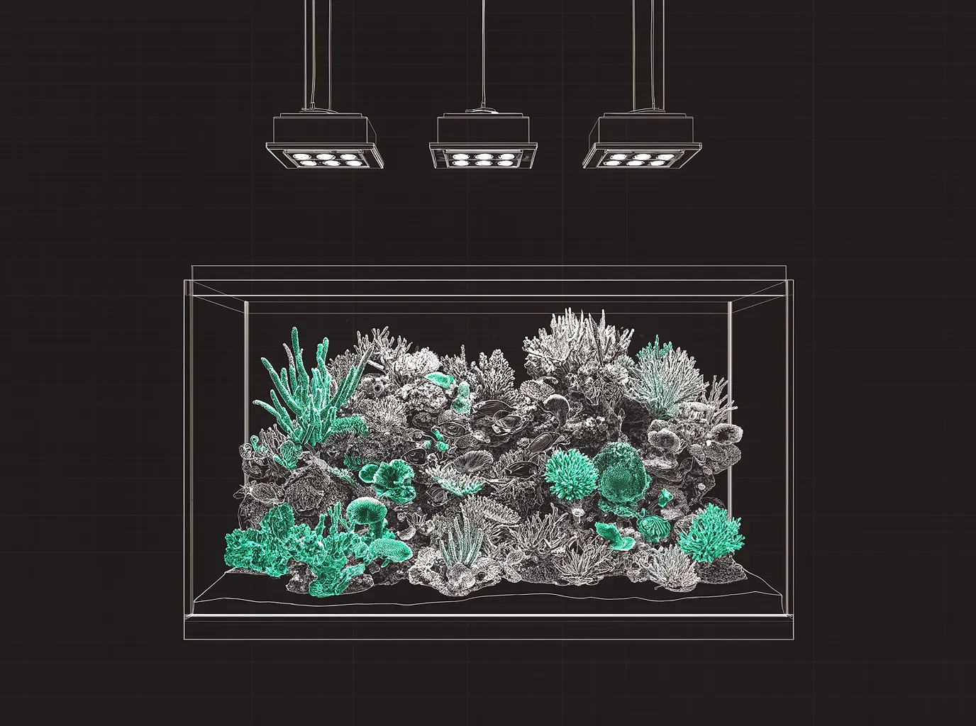 Reef Tank Parameter Chart: Complete Water Chemistry