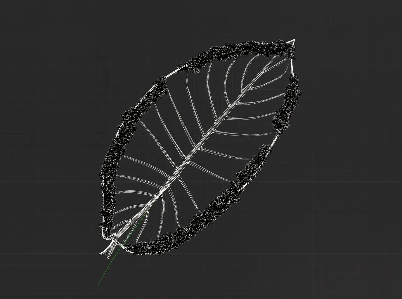 Black Beard Algae (BBA) Complete Guide: