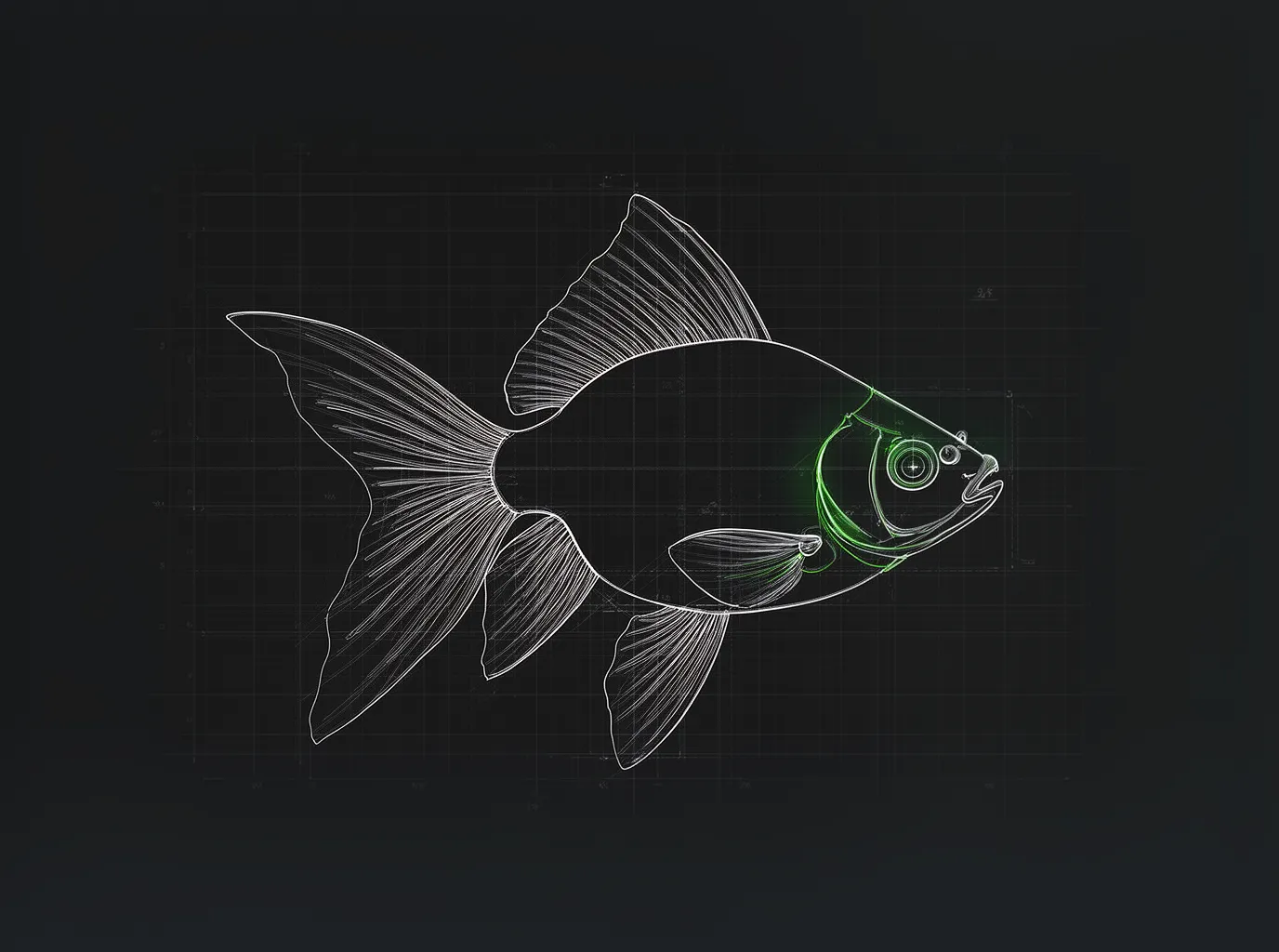 Freshwater Fish for Planted Tanks: Selection & Stocking