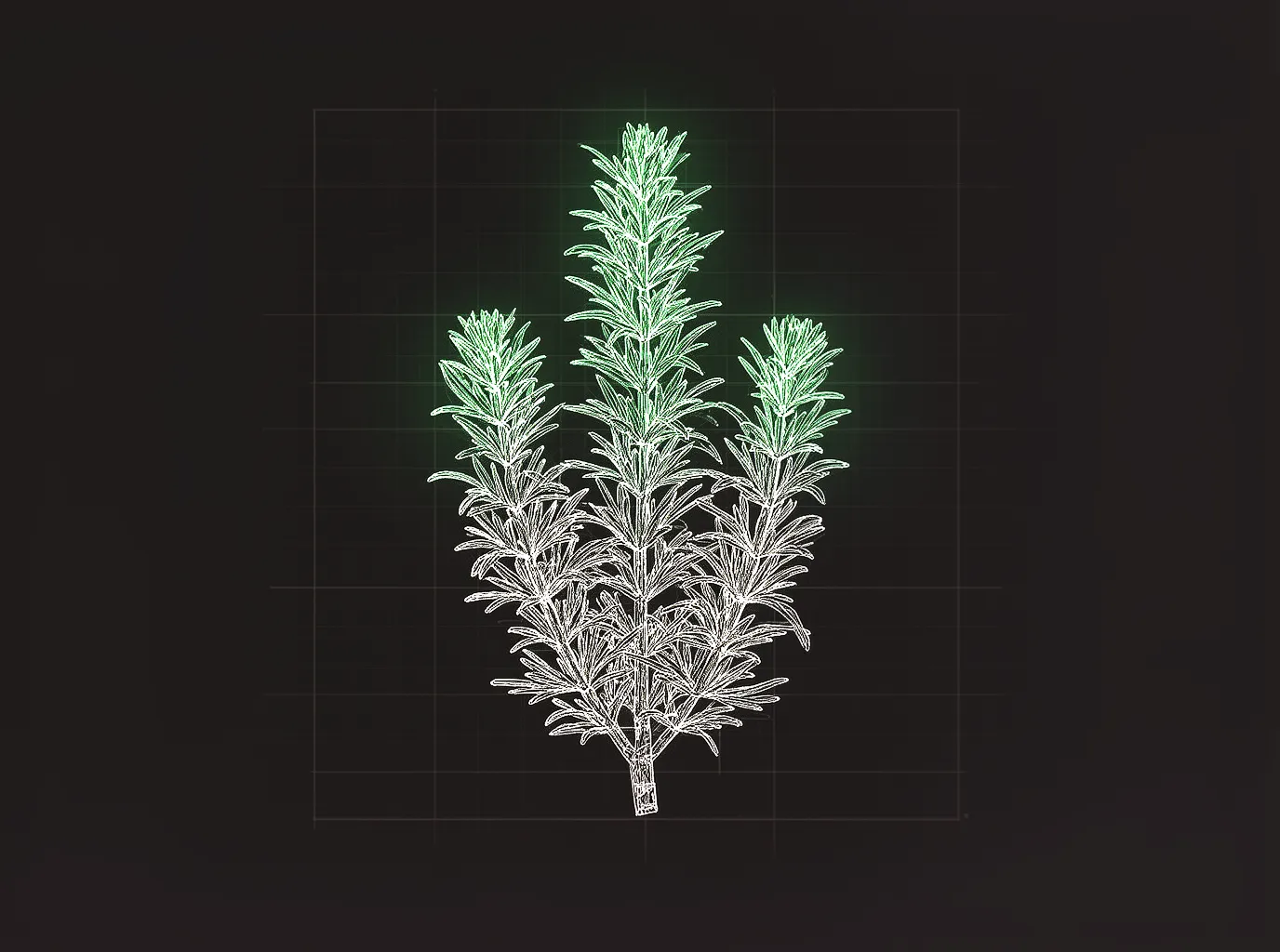 How to Trim Aquarium Plants: Complete Pruning Guide