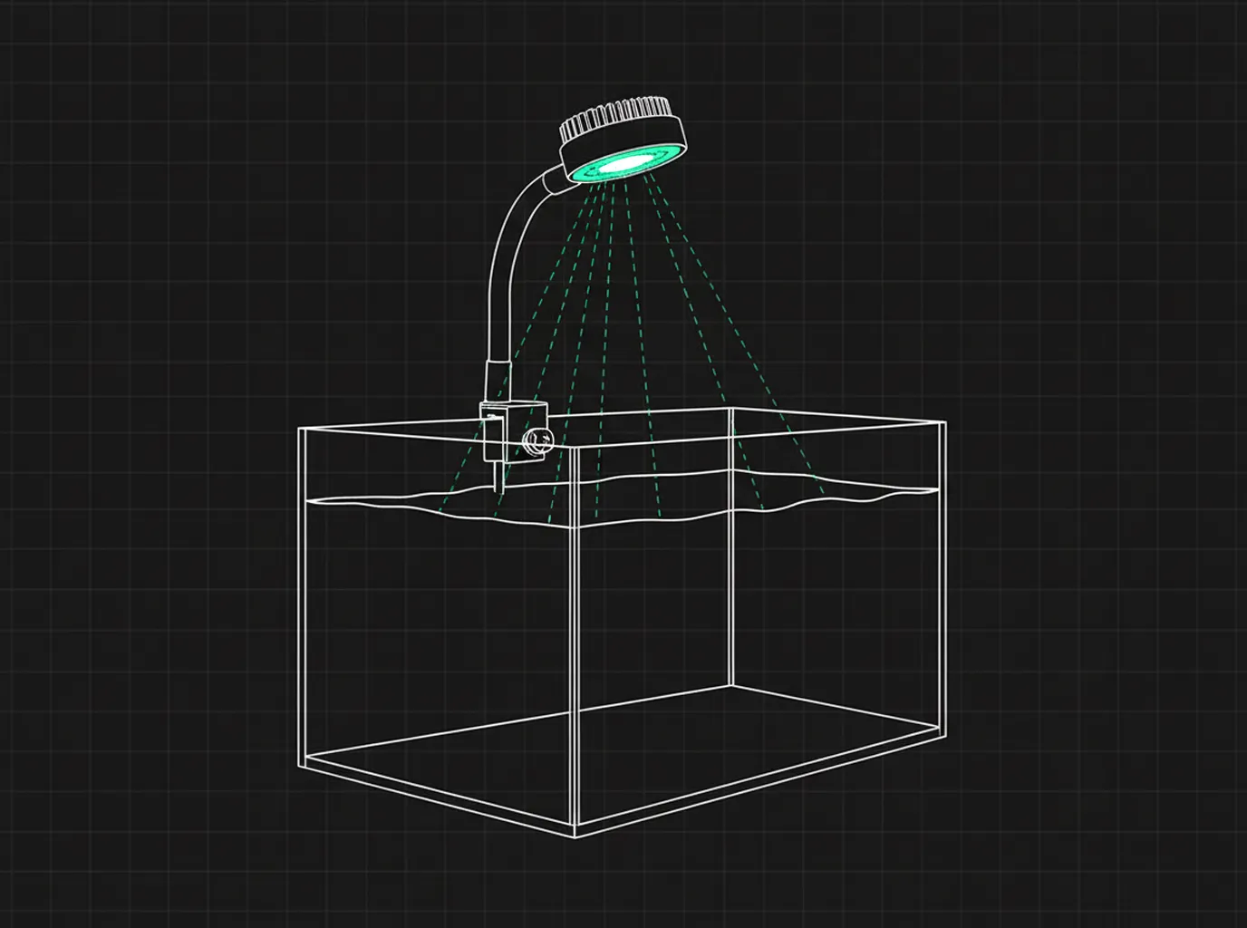 Best LED Lights for Planted Tanks